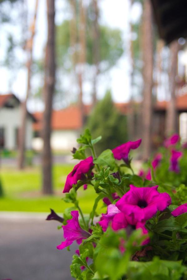 Park-hotel Kidev 4*